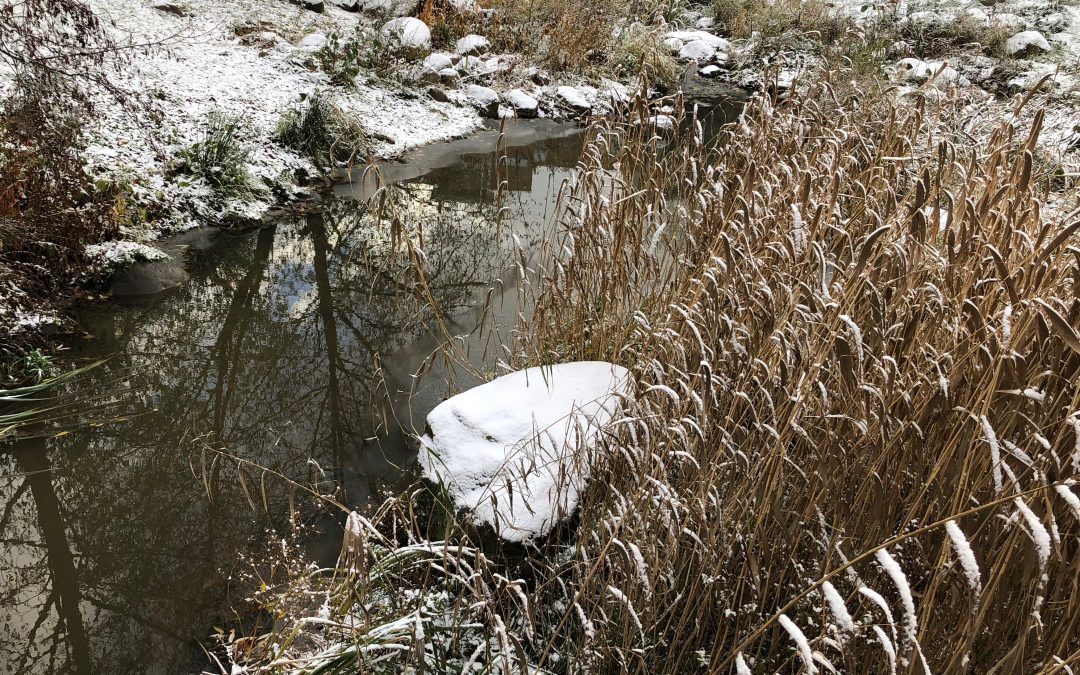 Ensilumen myötä on aika siirtyä rauhallisempaan vuodenaikaan