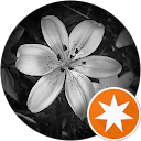 HBJ profile picture